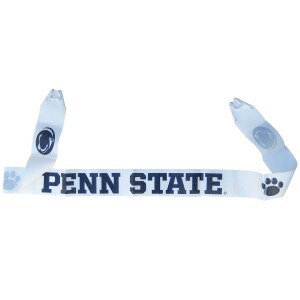 door banner Penn State Athletic Logos and Paws